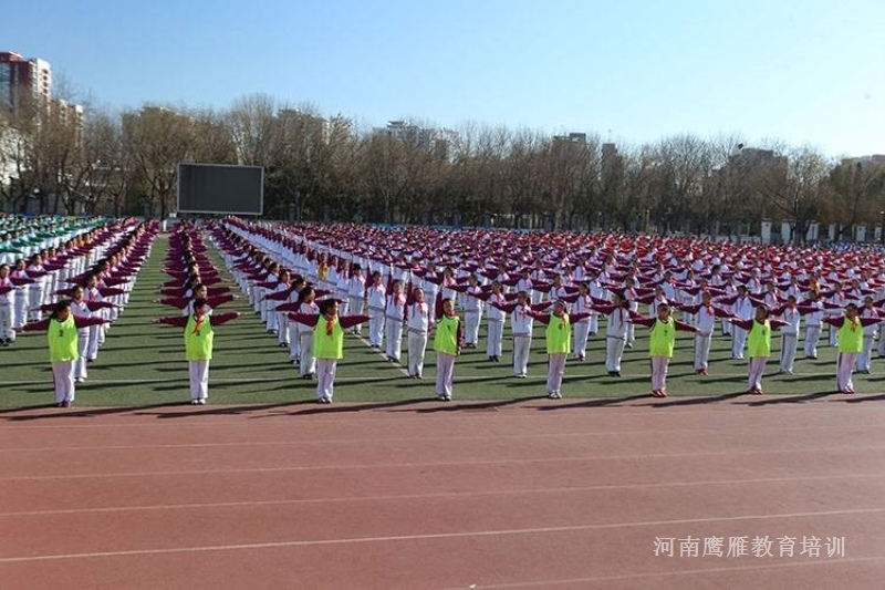 學(xué)校校園協(xié)助管理