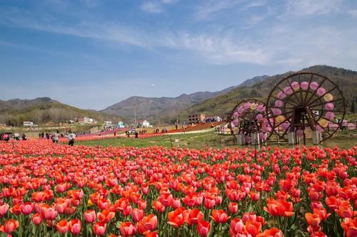 信陽(yáng)市股市縣西九華山景區
