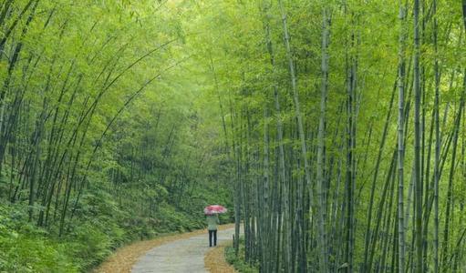 信陽(yáng)市股市縣西九華山景區