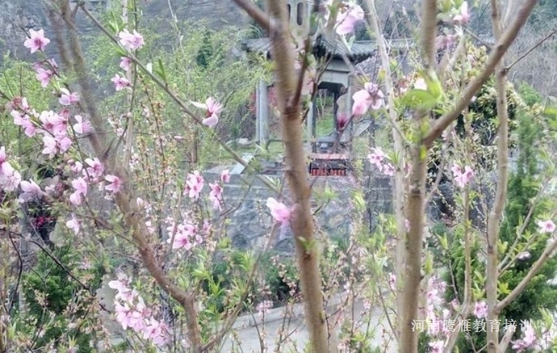 焦作沁陽(yáng)神農山景區